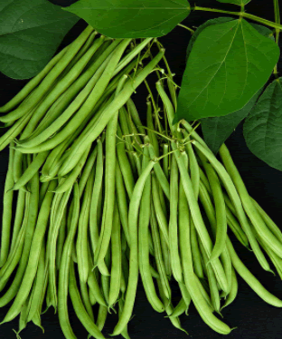French Beans