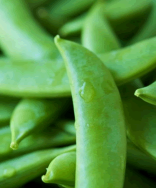 Sugar Snaps